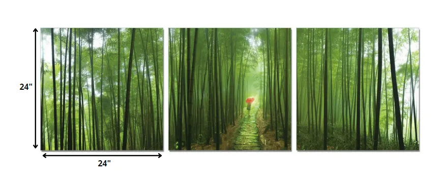 24" Canvas 3 Panels Forest Color Photo