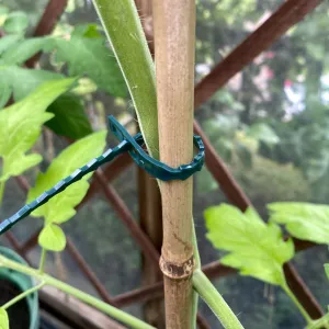 Adjustable Ties