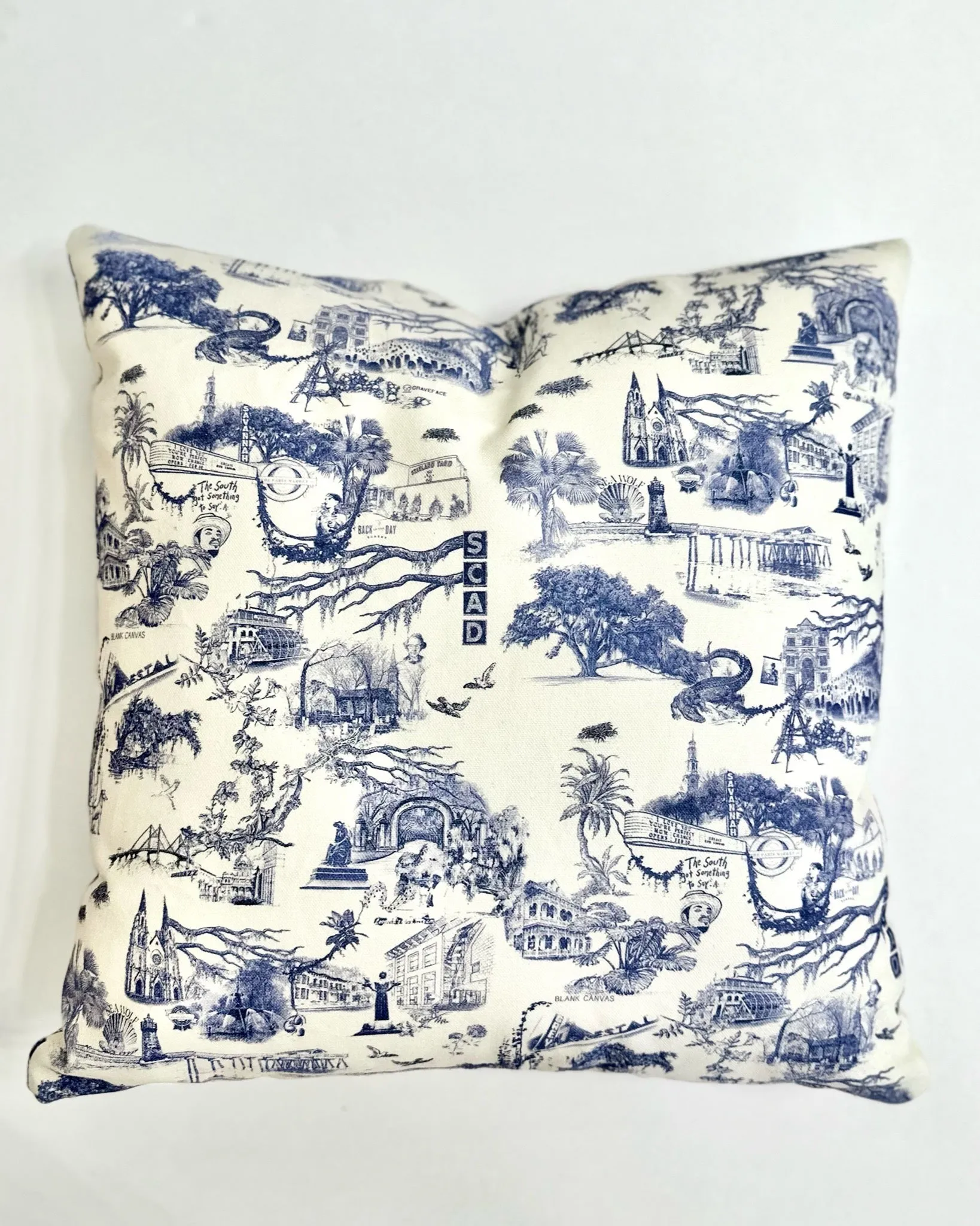 Blank Canvas Savannah toile pillow - 18" X 18"