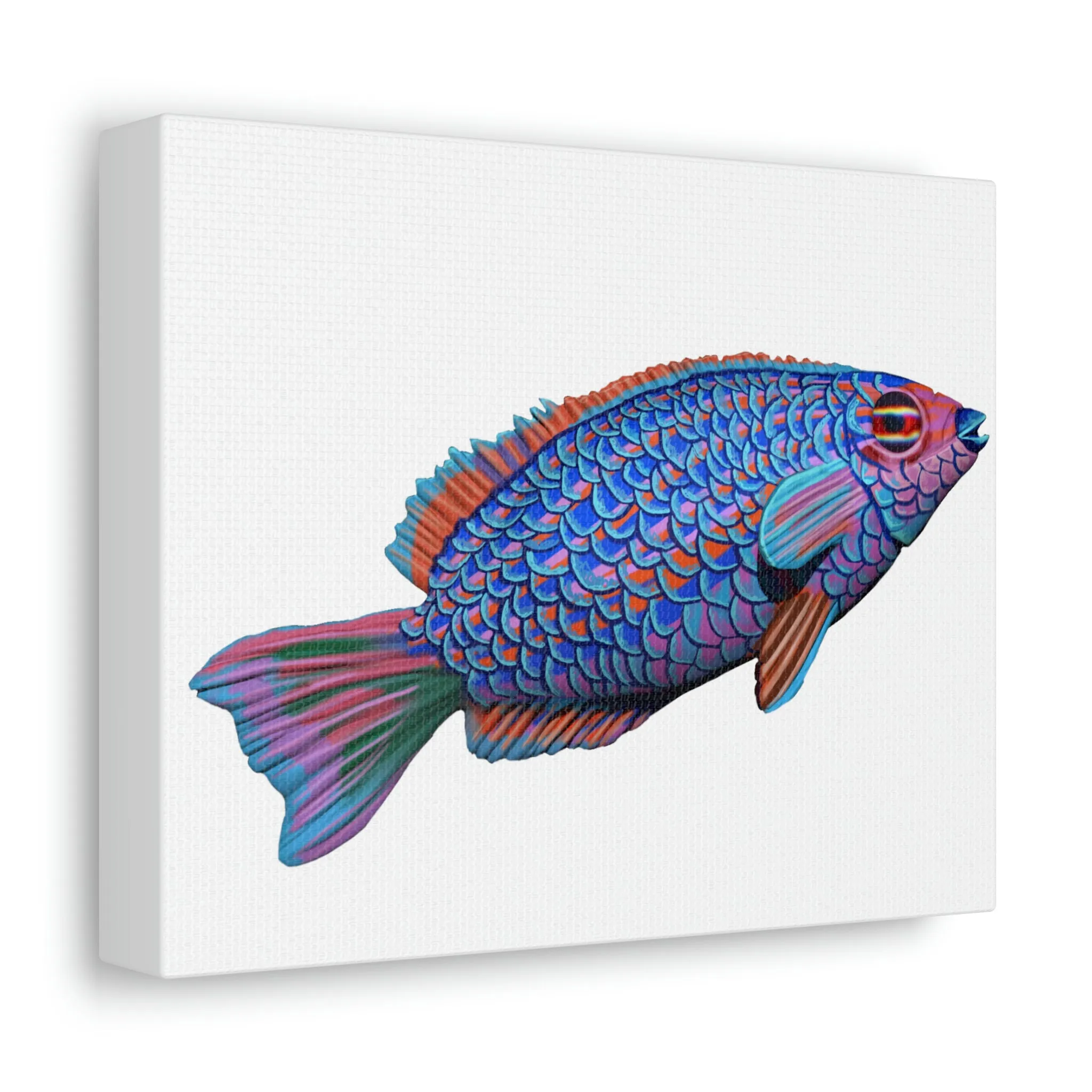 Blue Fish Stretched Canvas