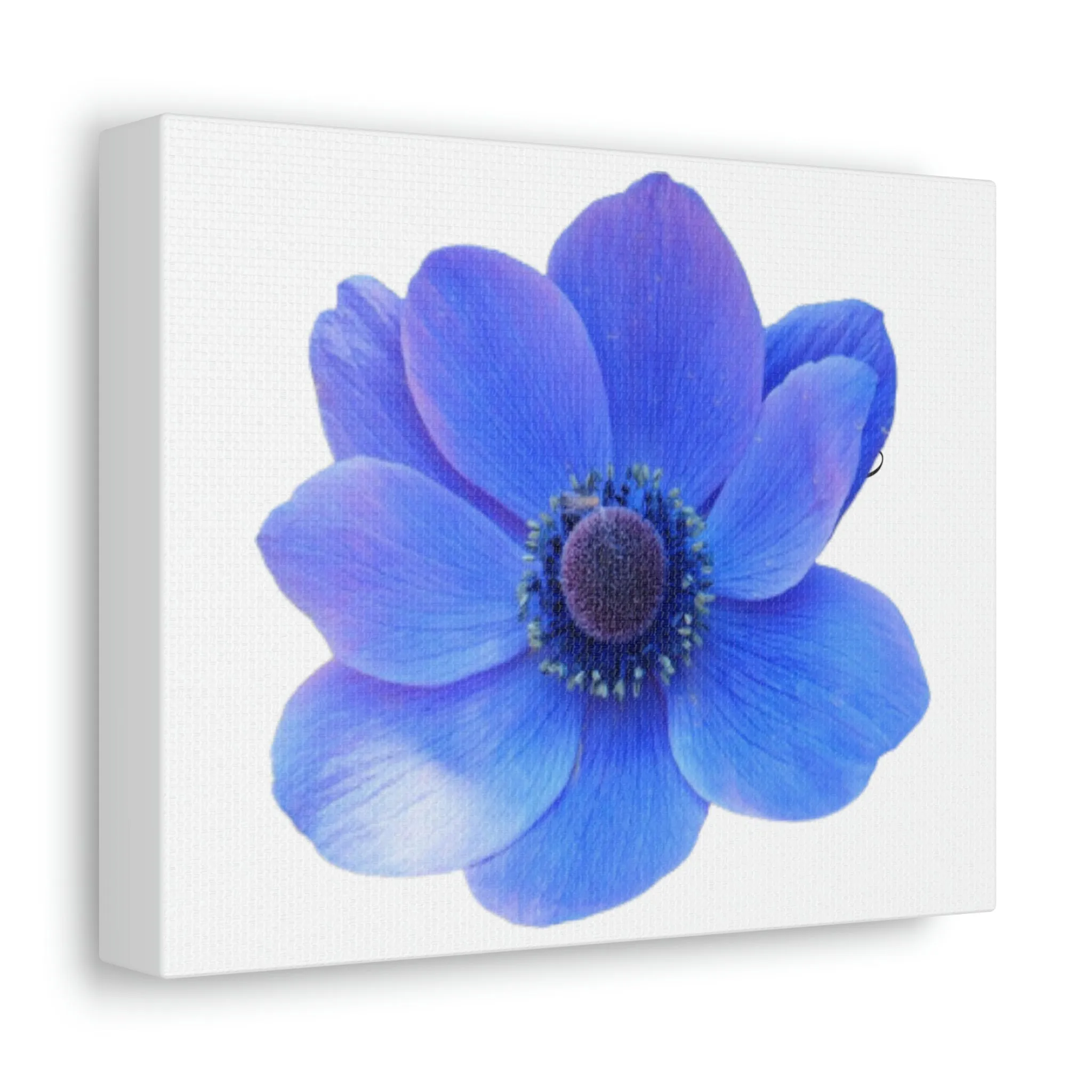 Blue Flower Stretched Canvas