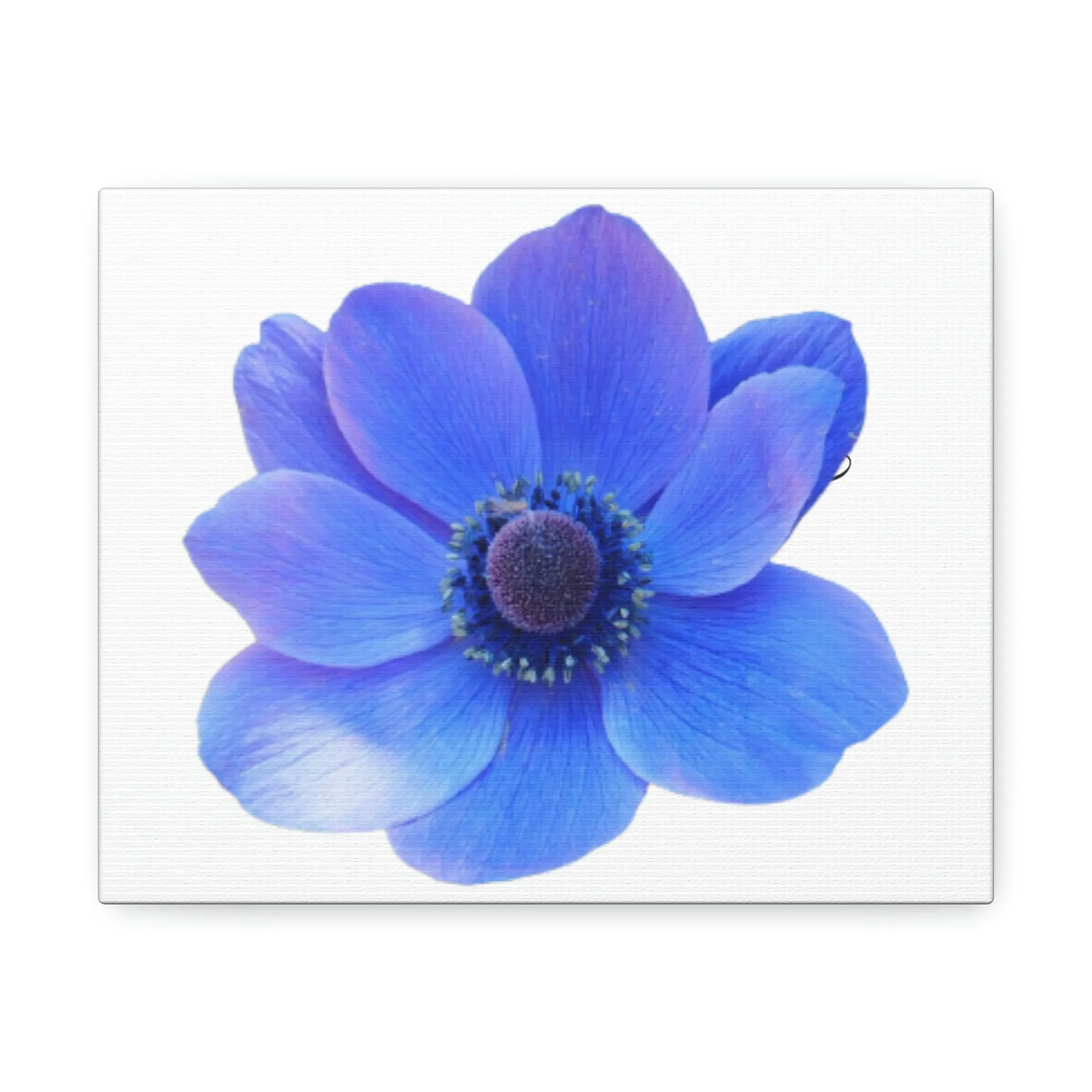 Blue Flower Stretched Canvas
