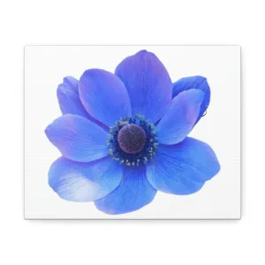 Blue Flower Stretched Canvas