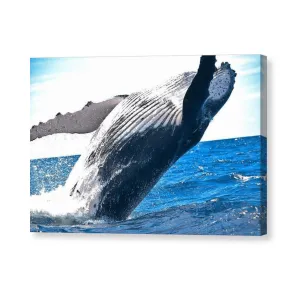 Breaching Whale - Canvas Print