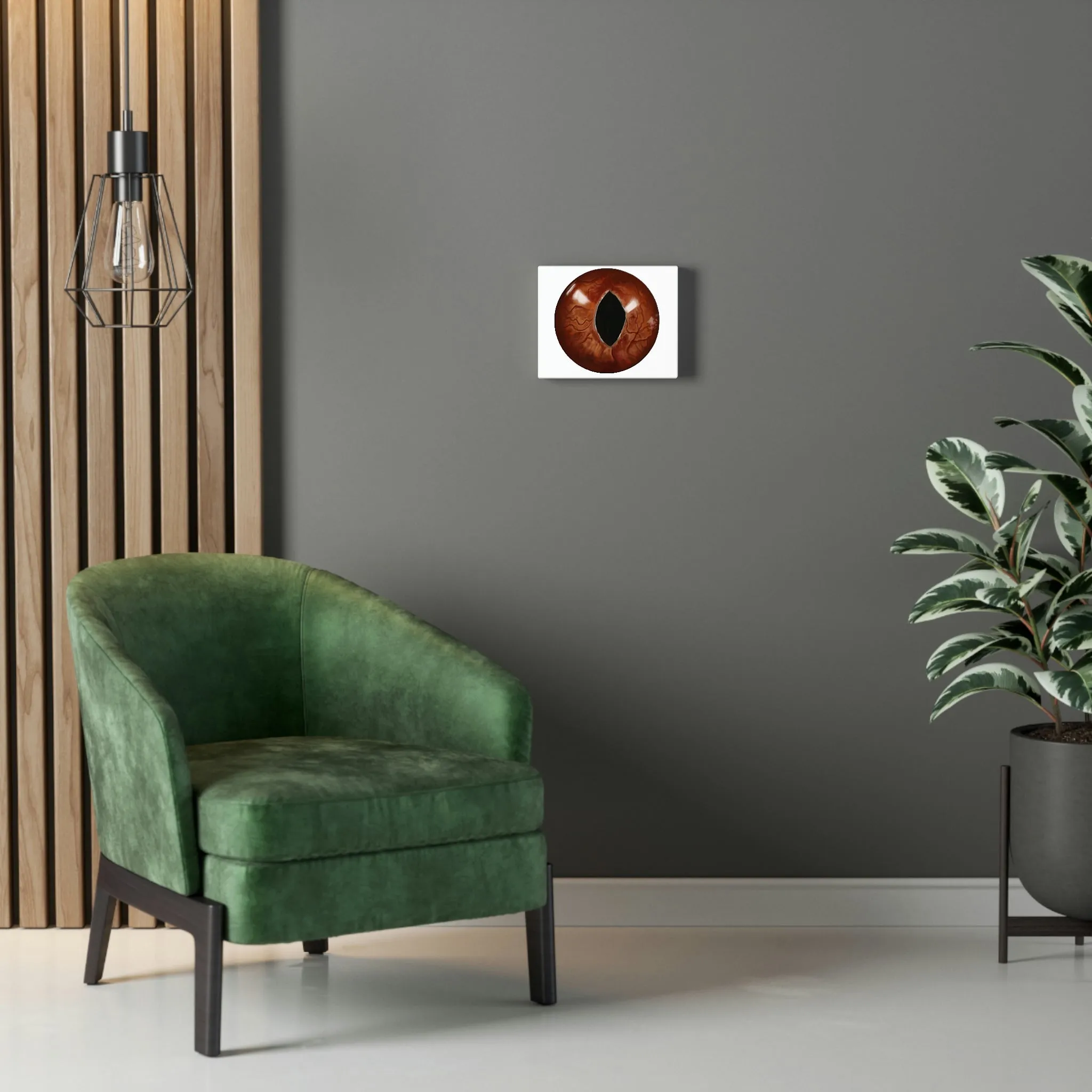 Cat Eyes Stretched Canvas