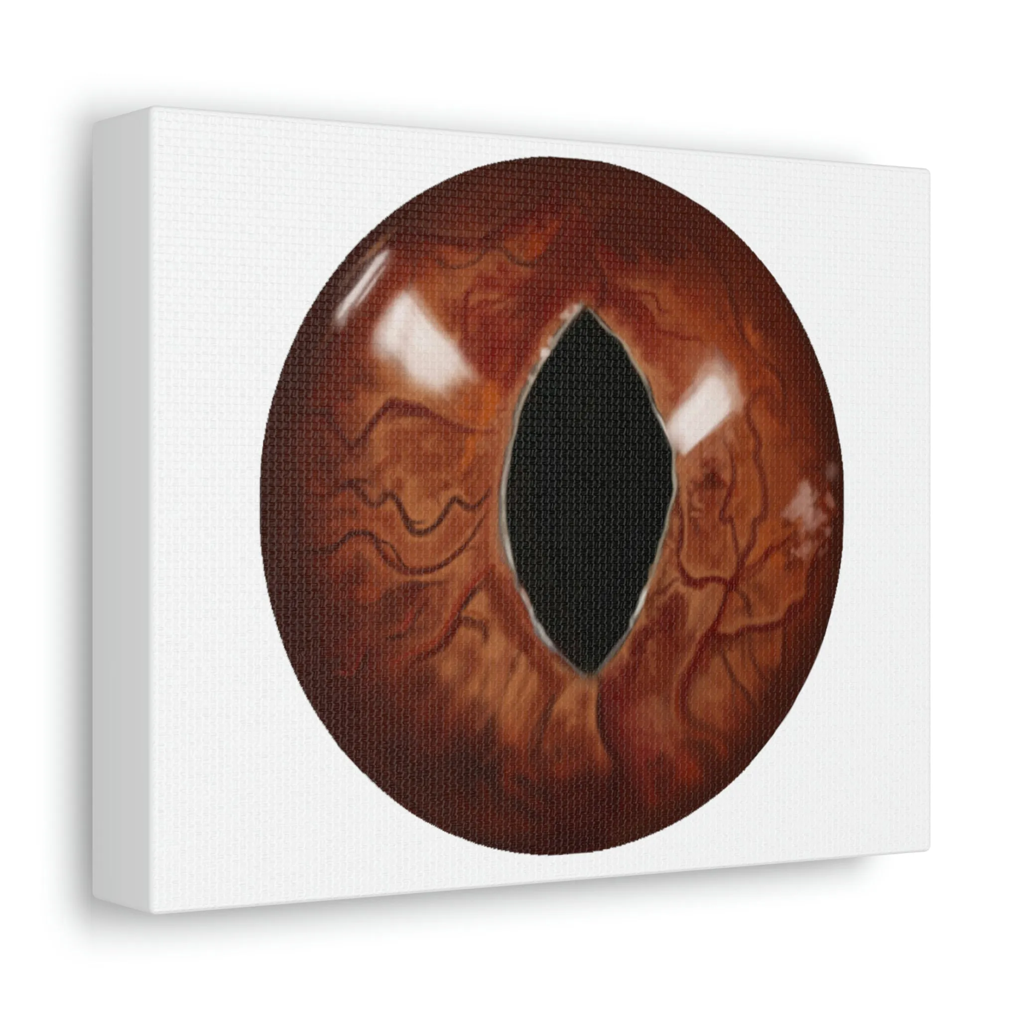 Cat Eyes Stretched Canvas