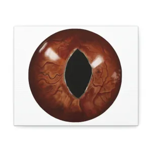 Cat Eyes Stretched Canvas