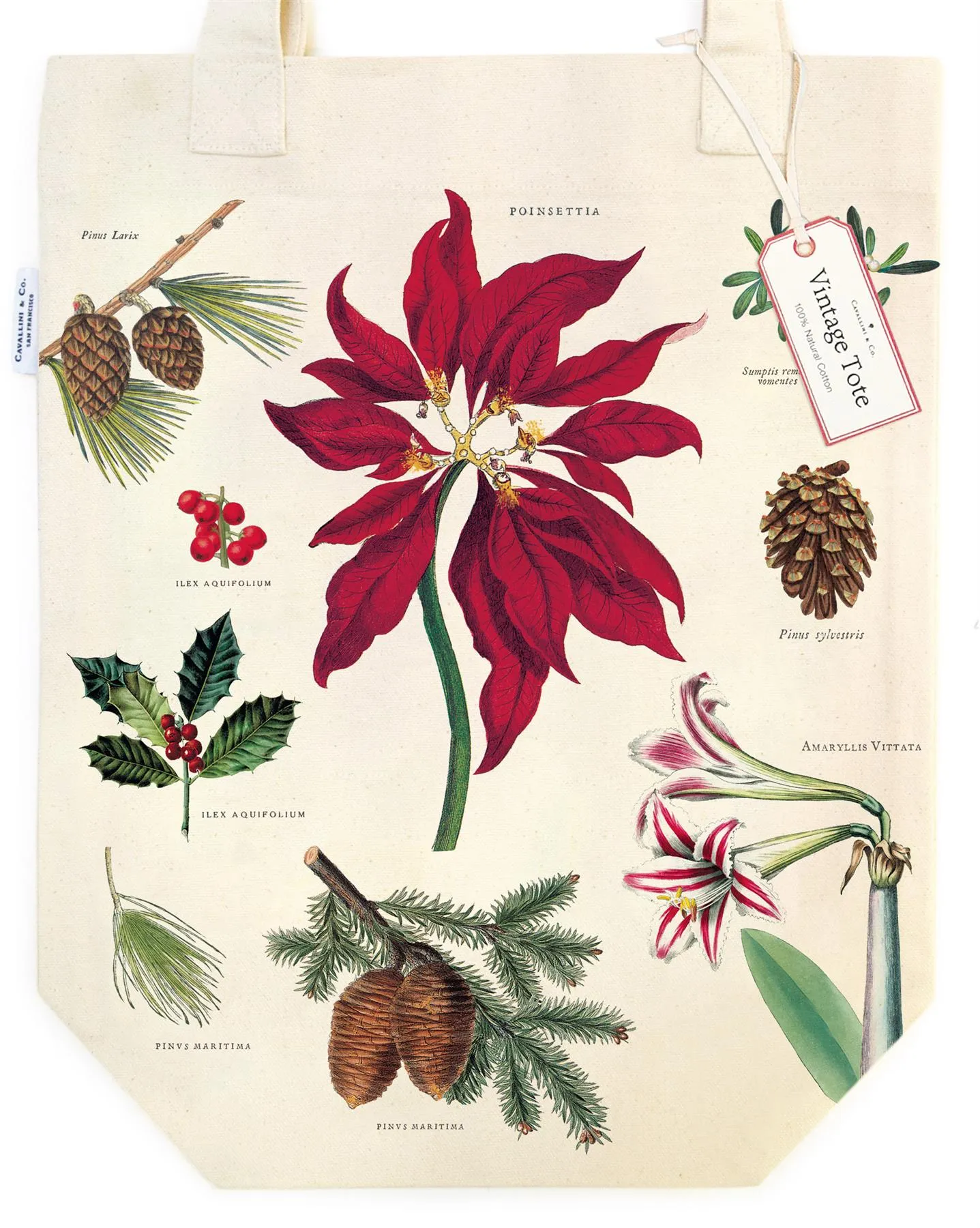 Cavallini - 100% Natural Cotton Vintage Tote Bag - 33x40.5cms - Christmas Botanicals