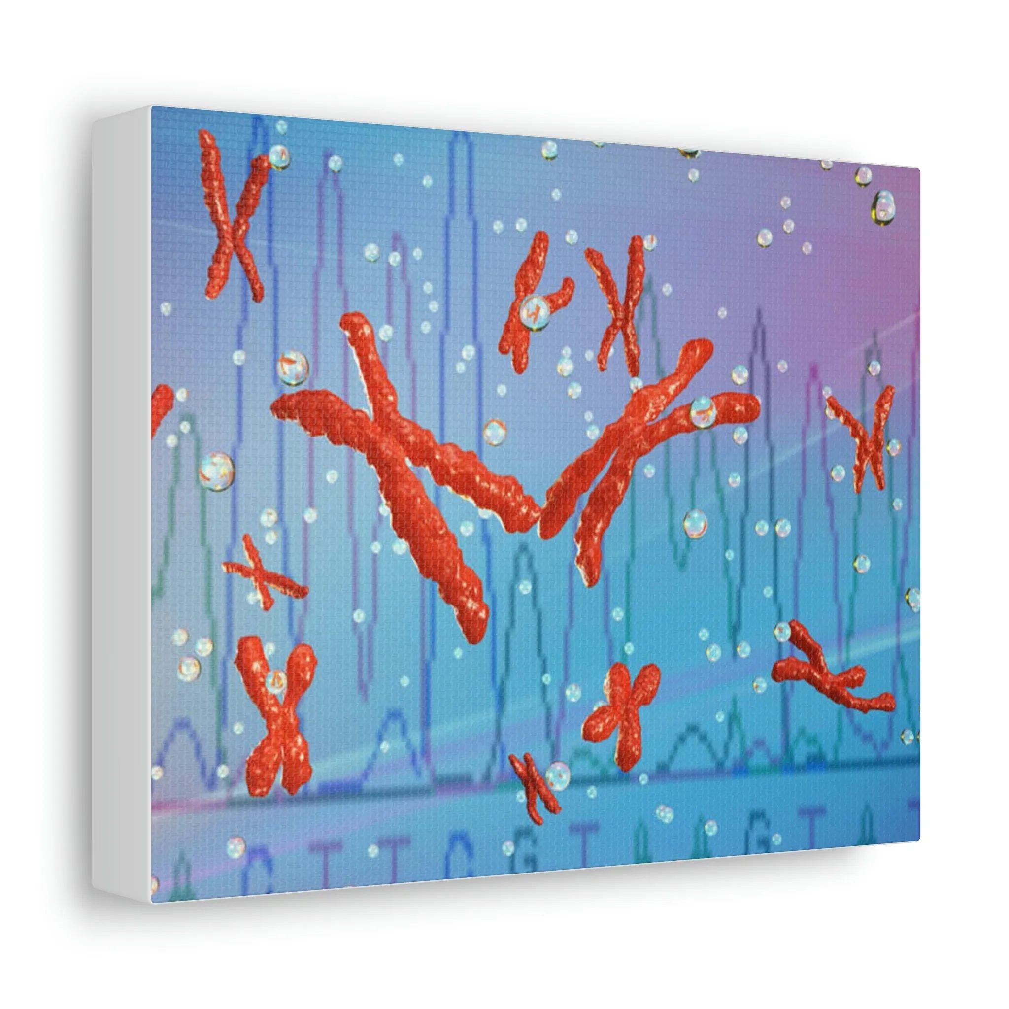 Chromosomes Stretched Canvas