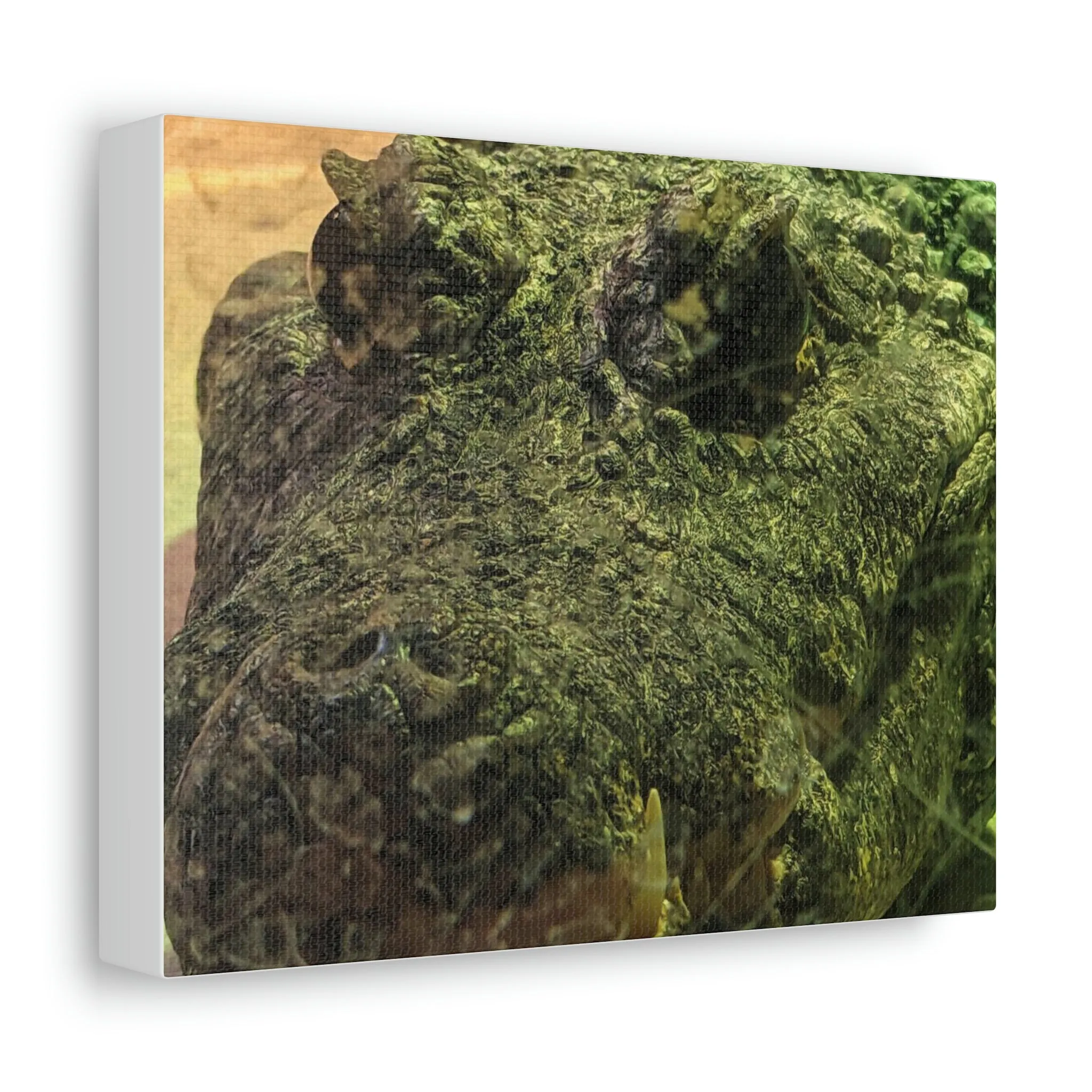 Crocodile Stretched Canvas
