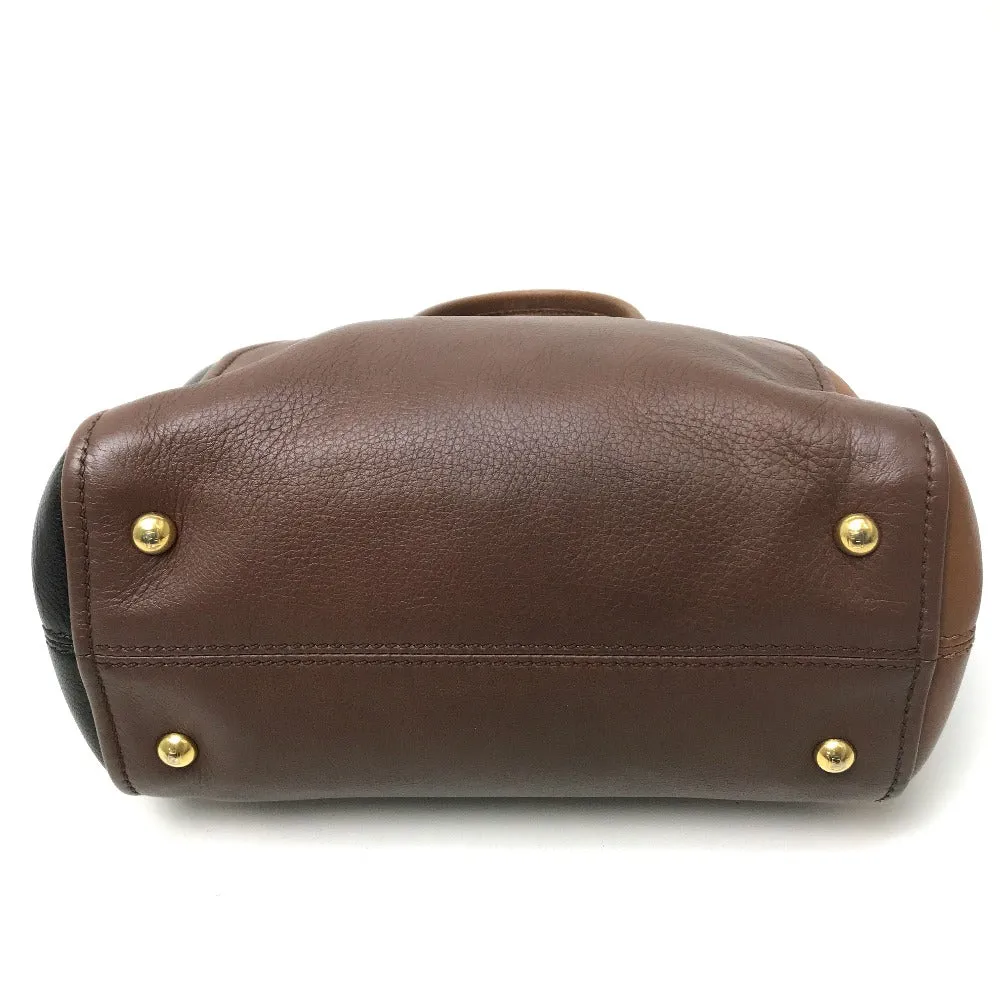 FENDI Handbag 8BL117 leather Brown chameleon Women Used