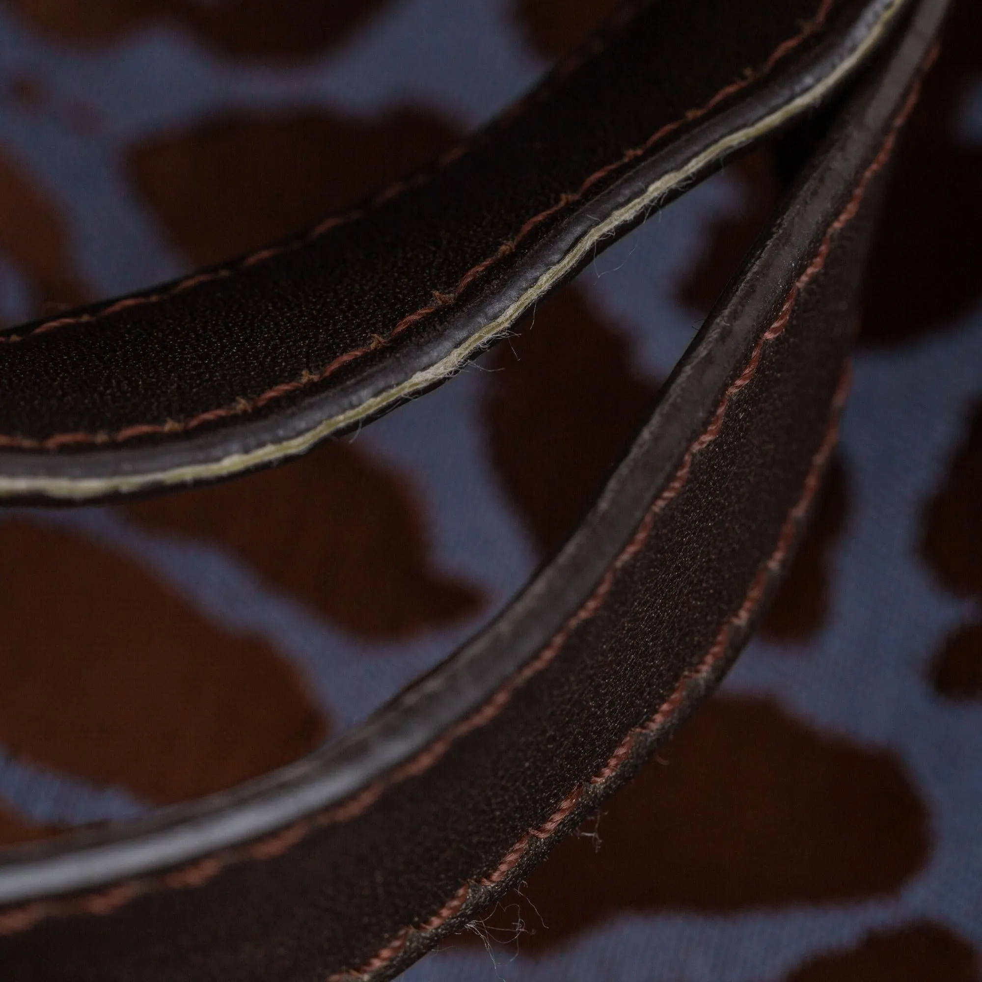 Fendi Leopard Print Nylon Tote Bag (SHG-31059)