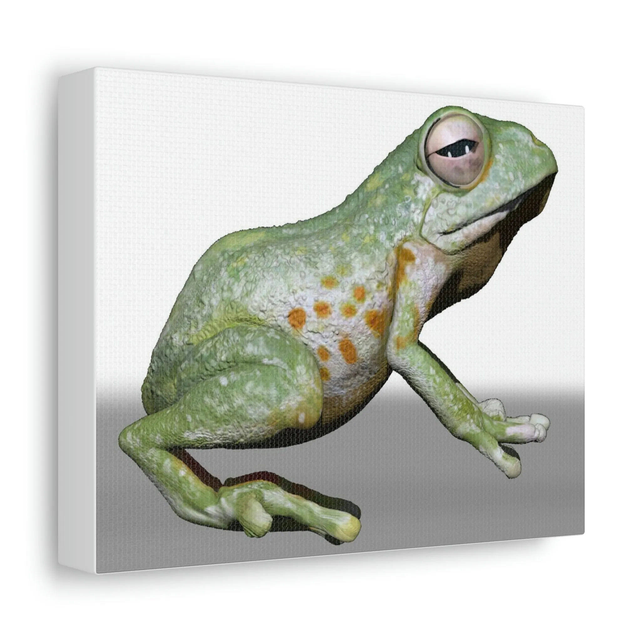 Frog Stretched Canvas