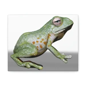Frog Stretched Canvas