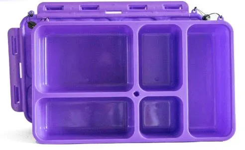 Go Green Lunch Box - Pink 'N' Pretty with Purple Box