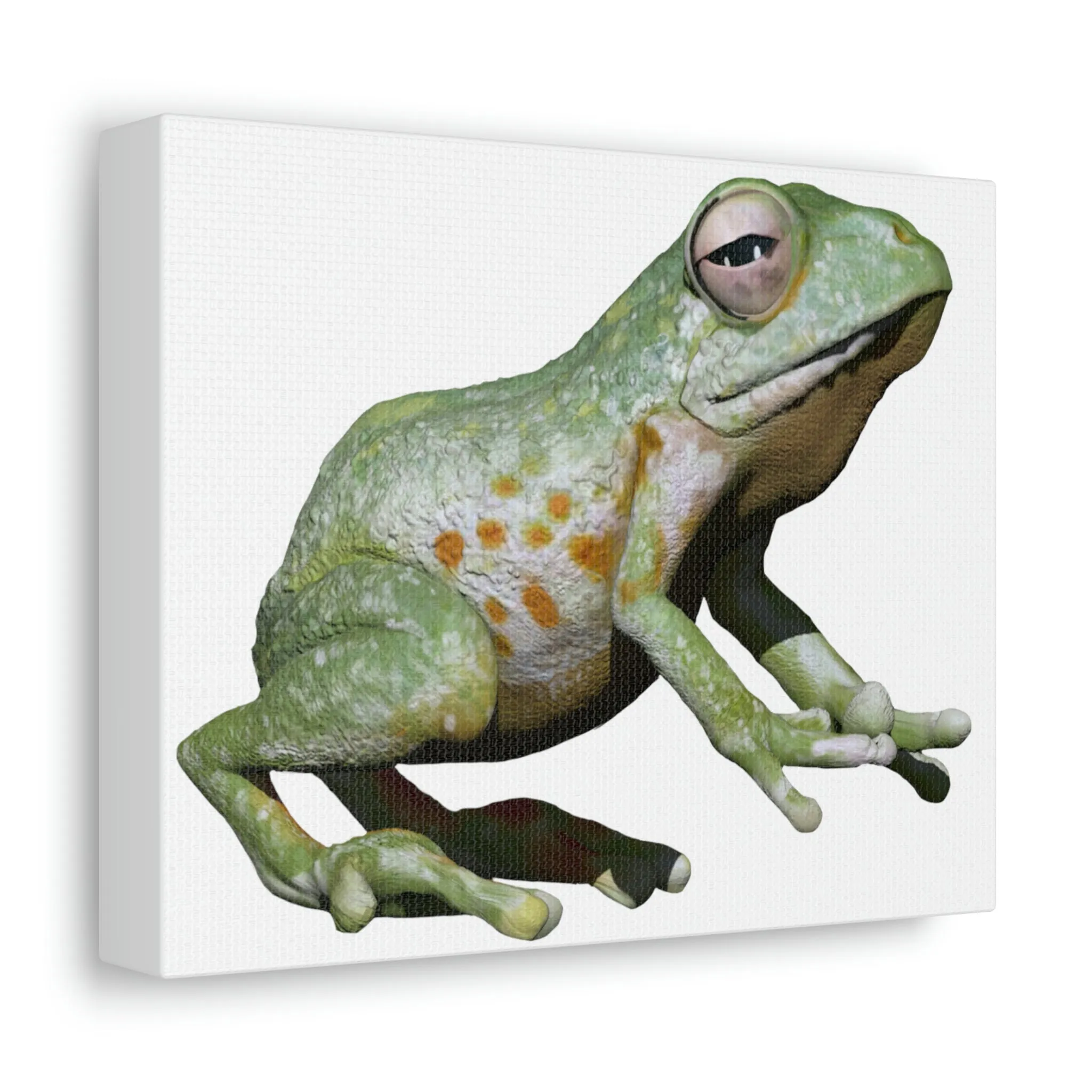 Green Frog Stretched Canvas