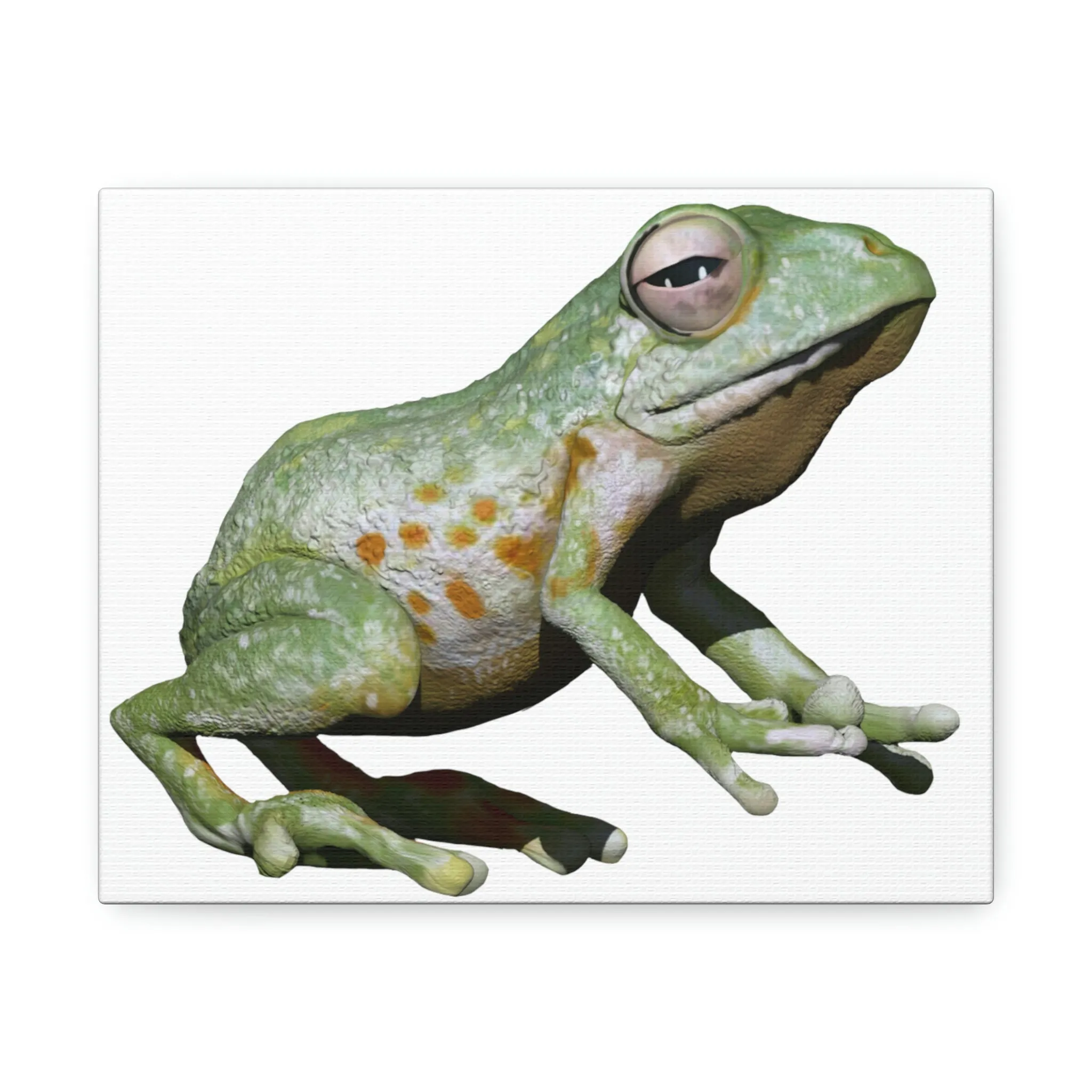 Green Frog Stretched Canvas