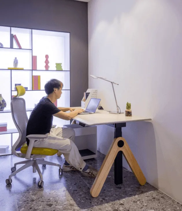 Height Adjustable Table | AVI