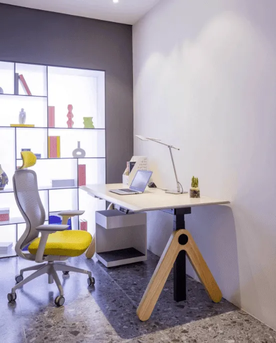 Height Adjustable Table | AVI