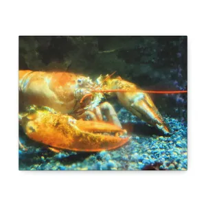 Lobster Stretched Canvas