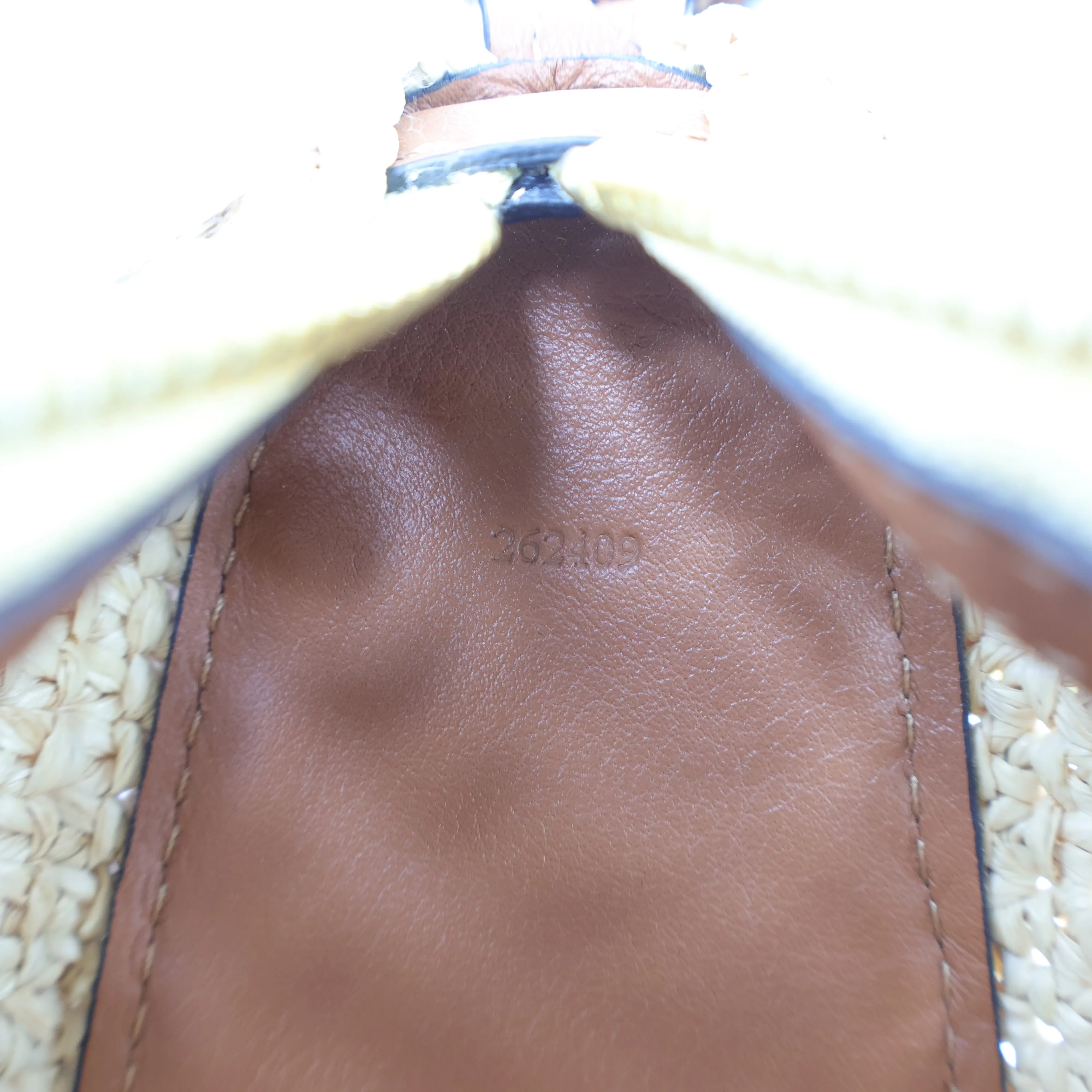 Loewe Hammock Hobo Mini Raffia Tan Natural