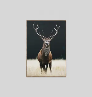 MEADOW DEER · FRAMED CANVAS