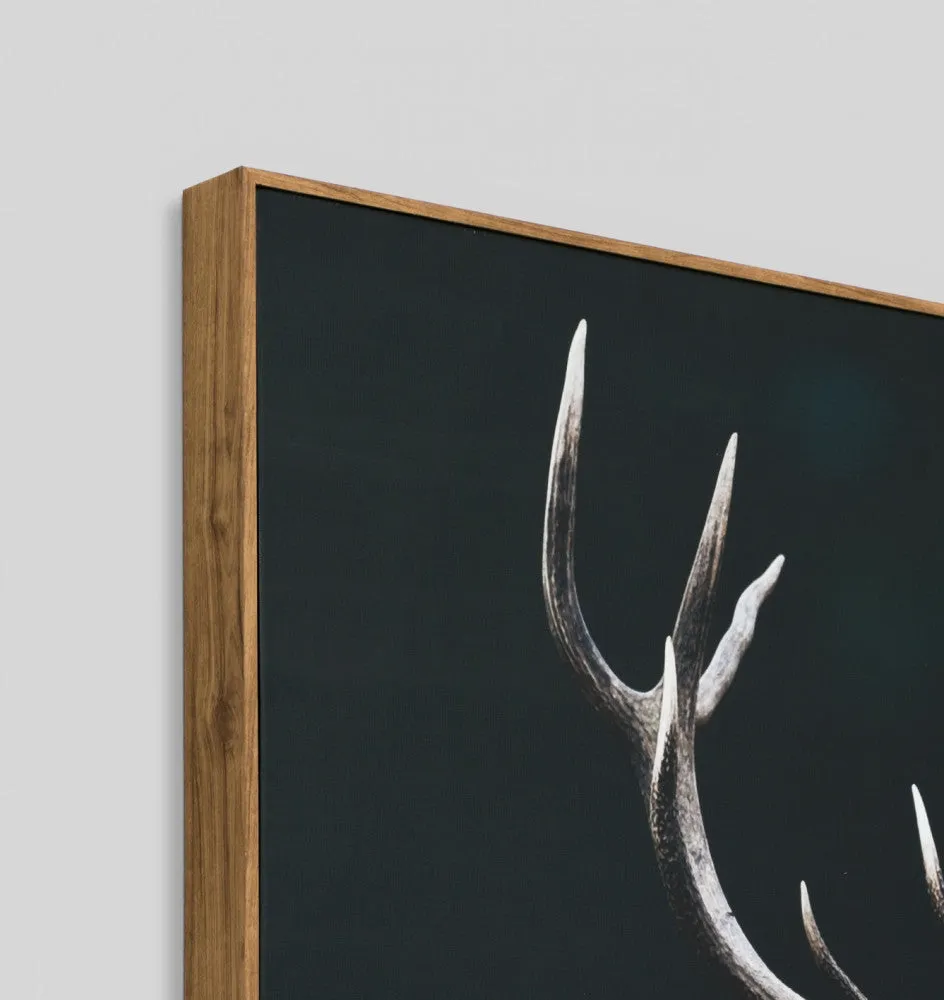 MEADOW DEER · FRAMED CANVAS