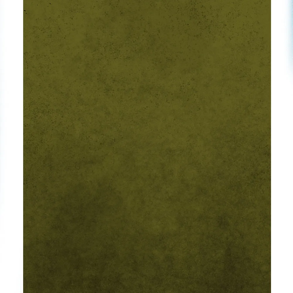 Olive Green Light Texture Printed Backdrop