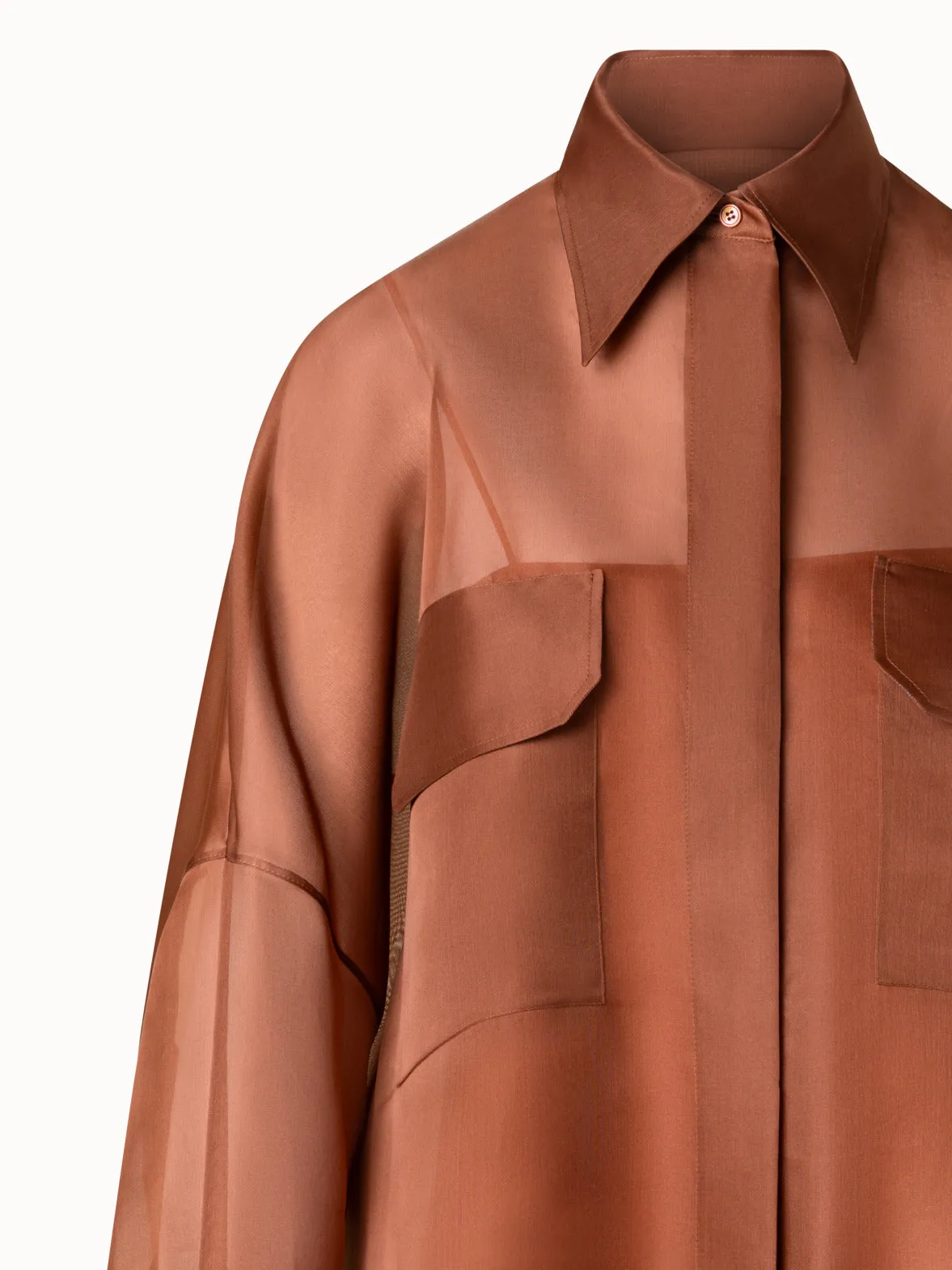 Oversized Semi-Sheer Silk Organza Shirt Blouse