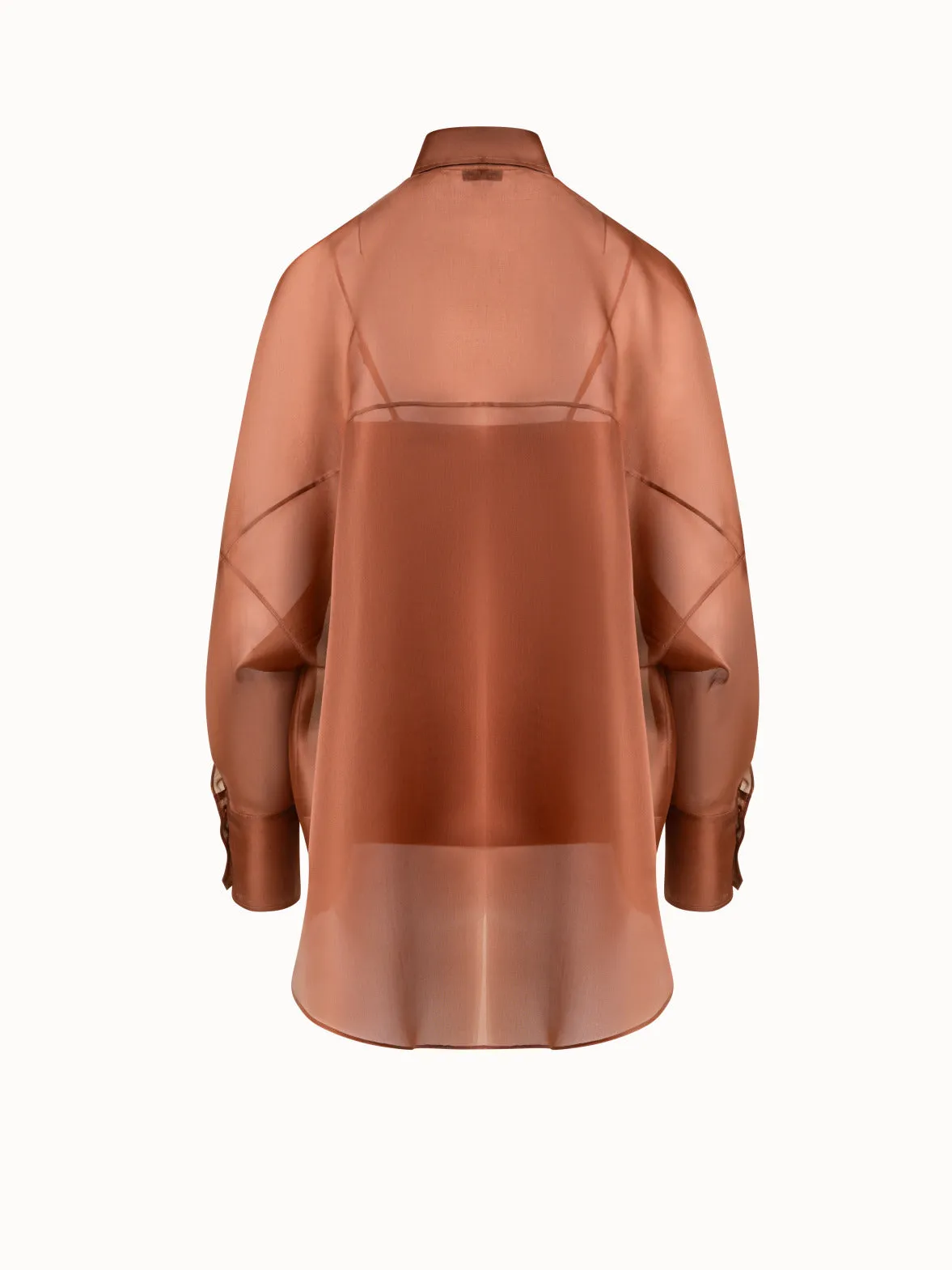 Oversized Semi-Sheer Silk Organza Shirt Blouse