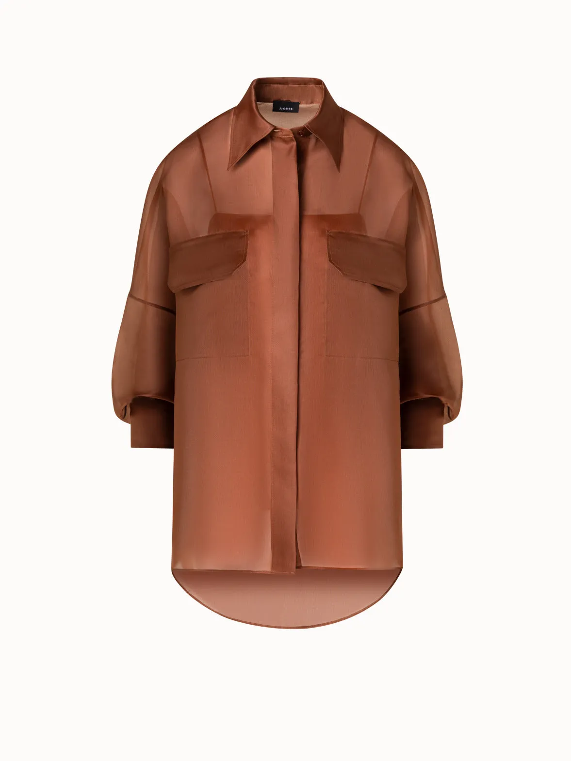 Oversized Semi-Sheer Silk Organza Shirt Blouse