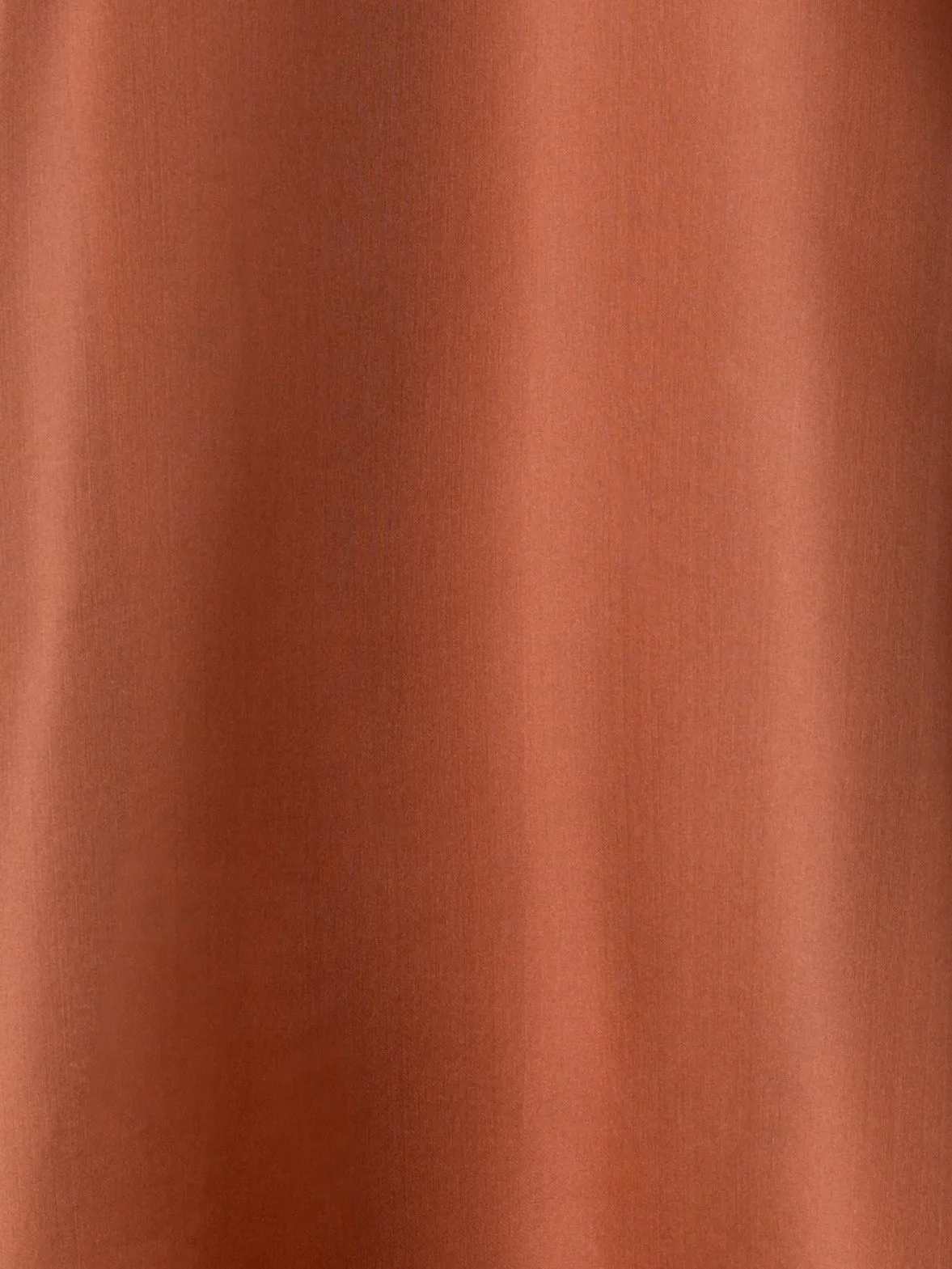 Oversized Semi-Sheer Silk Organza Shirt Blouse