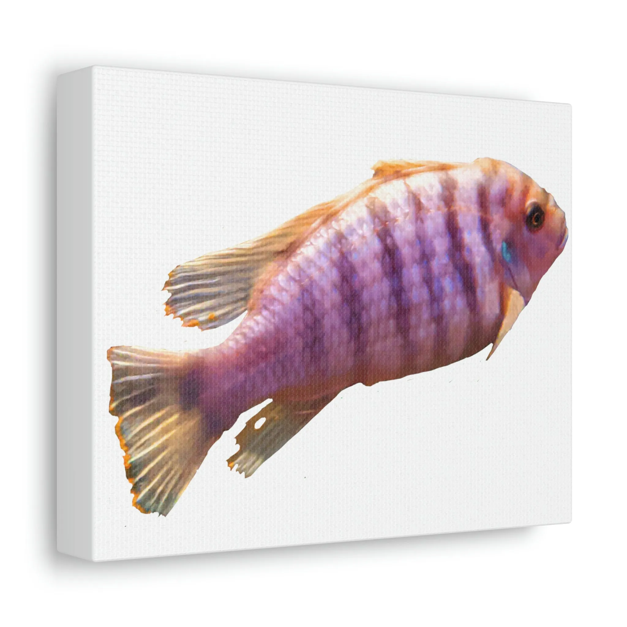 Purple Fish Stretched Canvas