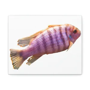 Purple Fish Stretched Canvas