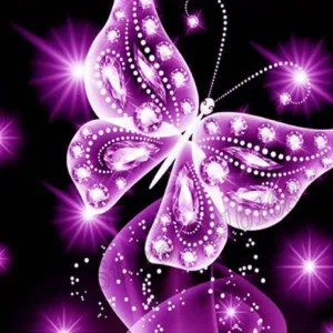 Shining Butterfly