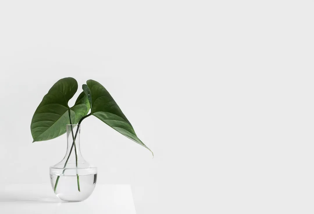 Sleek Linen Plate