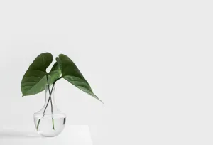 Sleek Linen Plate
