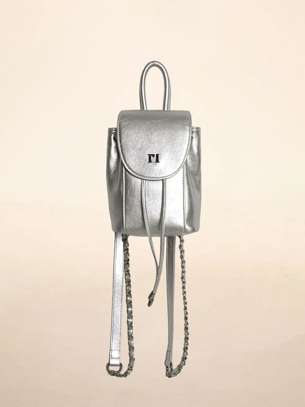 Sleek Metallic Travel Companion Bag
