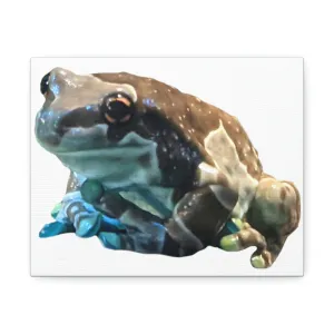Toad Stretched Canvas