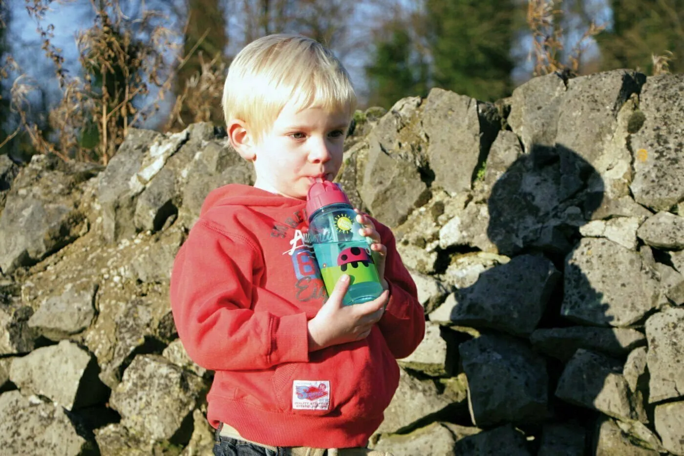 Tum Tum – Bugs Flip Top Water Bottle